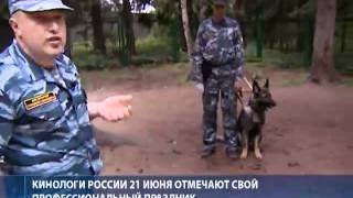 Кинологи раскрыли секреты воспитания собак