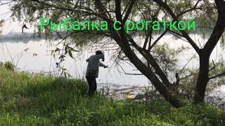 РЫБАЛКА С РОГАТКОЙ. SLINGSHOT FISHING