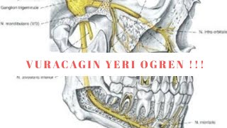 Vurunca Adamı Bayıltacak 5 Zayıf Nokta