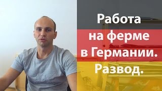 Робота на фермі в Німеччині | Работа на ферме в Германии / Развод #1