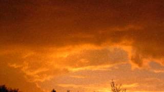 "Yellow Rain Fever" by Josh M.