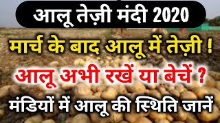 आलू तेज़ी मंदी 2020 || Potato Future Price Report || Potato Teji Mandi || Aalu Teji Mandi Report