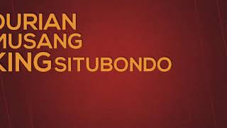 TSEL / WA 0813-9322-4204, Jual Bibit Durian Musang King Situbondo