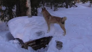6 серия. Поездка на вторую избу с ночёвкой. Апрель 2019. Таёжный быт. Рыбалка на хариуса.