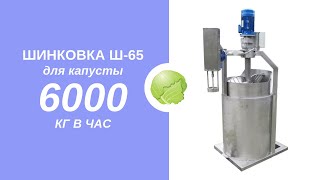 ⭐️ Польская шинковка для капусты Ш-65. Производительность 6000 кг в час