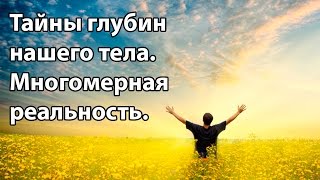Тайны глубин нашего тела. Многомерная реальность.