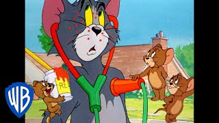 Tom y Jerry en Español | Jerry, el burlador