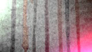 Panagiotis Kalogirou - Lines