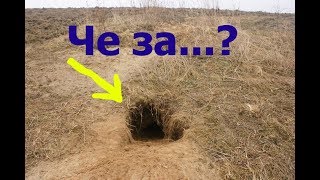 ТАЙНЫ ПОДМОСКОВНЫХ ЛЕСОВ!!!
