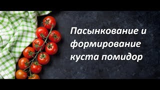 Как правильно пасынковать помидоры?How to pinch tomatoes?