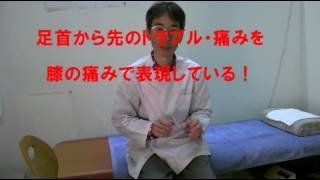 ぎんなん治療院　膝の痛みの調べ方