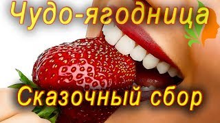 Чудо-ягодница Сказочный сбор.