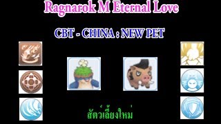 [ CBT - China ] Ragnarok M Eternal love : New PET