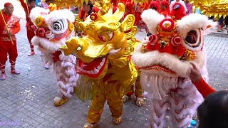 Múa Lân Tết 2020 Mùng 1 LSR Nhơn Nghĩa Đường Chùa Thảo Đường Thiền Tự