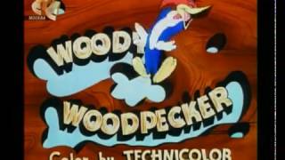 Woody Woodpecker  Вуди Вудпекер смех