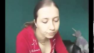 Я бы вдул, или покажи сиськи  Приколы