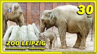 ? ZOO LEiPZiG • Baby Elefant, Rani & Don Chung / Travel - Слоненок - зоопарк - Animals