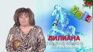 Ясновидящая Лилиана о Годе синей лошади