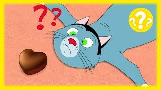Oggy and the Cockroaches ?❓  THE FAMILY HEART ? (S04E1.20) Full Episode in HD