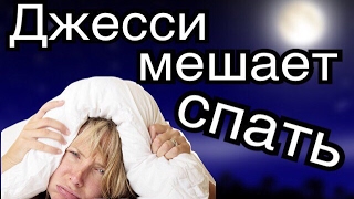 Хомяк - ночное животное. Как Джесси мешает мне спать!