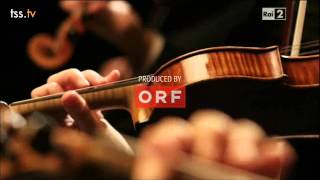 Inizio Concerto di Capodanno di Vienna 2013/Das Neujahrskonzert der Wiener Philharmoniker