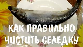? Как правильно чистить селедку! (быстрый и легкий способ)