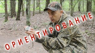 ?Ориентирование? в лесу☘