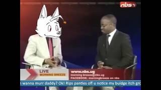 furry_irl