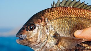 Морской карась. Рыбалка на черном море. Rock fishing. Rockfishing