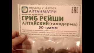 Рейши гриб - АЛТАЙМАТРИ - травы с Алтая
