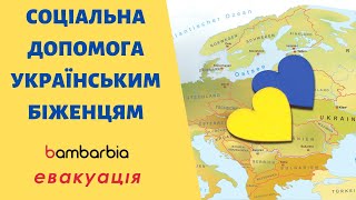 Социальная помощь украинским беженцам: ожидания и реальность | bambarbia эвакуация