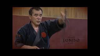 Okinawa Kobudo - Zenei Oshiro - Black Belt program