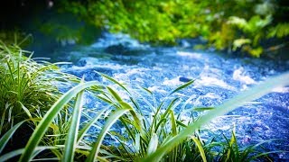 10 Hours River Sleep Sounds | Water White Noise for Relaxation