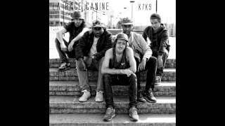 La Race Canine - Pas à Pas