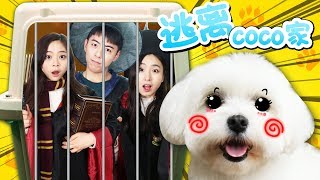一起逃出小狗coco的狗屋吧！小伶玩具 | Xiaoling toys