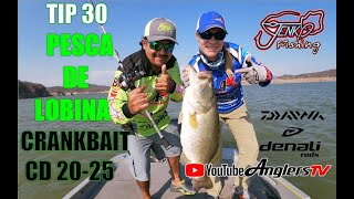 TIP 30 PESCA DE LOBINA / Crankbait el CD20-25 de Jenko Fishing