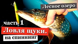 Ловля щуки весной на спиннинг. Рыбалка на озере в Ленинградской области. Часть 1.