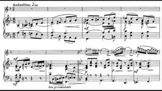 Theodoor Verhey - Flute Concerto No. 1, in D minor