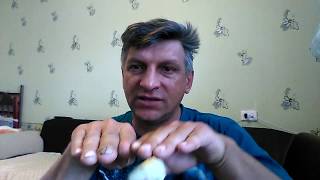 ПЧЕЛОВОДСТВО КАК БОРОТЬСЯ С РОЕНИЕМ №2 Секреты начинающим