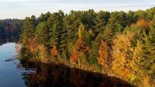 Beauty Of Autumn... (Accordion Music)