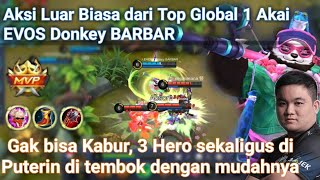 Top Global 1 Akai EVOS Donkey BARBAR, Musuhny Gak bisa kabur sama sekali, Best Tanker Mobile Legend.