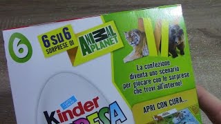 Animal Planet Kinder | Gioco da tavolo | Huevos Oeufs Ovetti con sorpresa