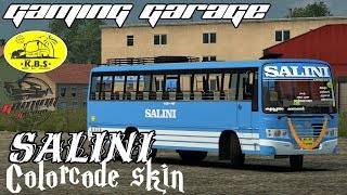 Salini colorcode skin for kondody v1||Team KBS||Ets2