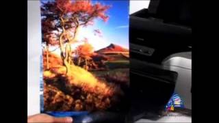 Epson R800