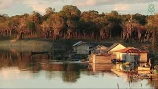 DISCOVER BORNEO. DANAU SENTARUM NATIONAL PARK