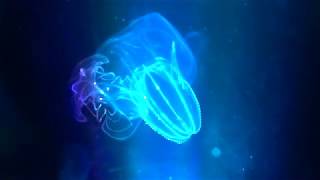 Fantastic Blue