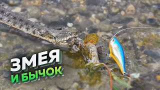 Рыбалка в Дагестане  Прикольный случай на рыбалке !)))