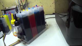 Bulk Ink HP 8100 8600 -Colocar o bulk na 8100