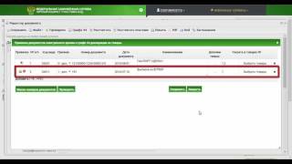 Урок 5. Указание документов на товар  (графа 44)