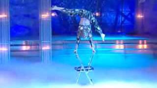 Alexey Goloborodko's final contortion performance at Минута Славы tv show in 2007